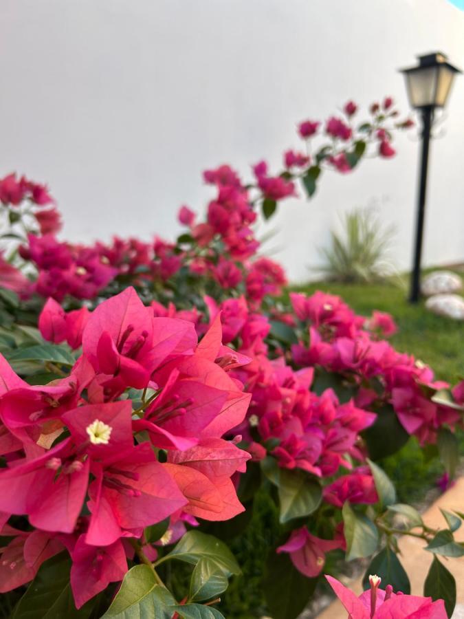 Casa Olimpia Sp Villa Ngoại thất bức ảnh